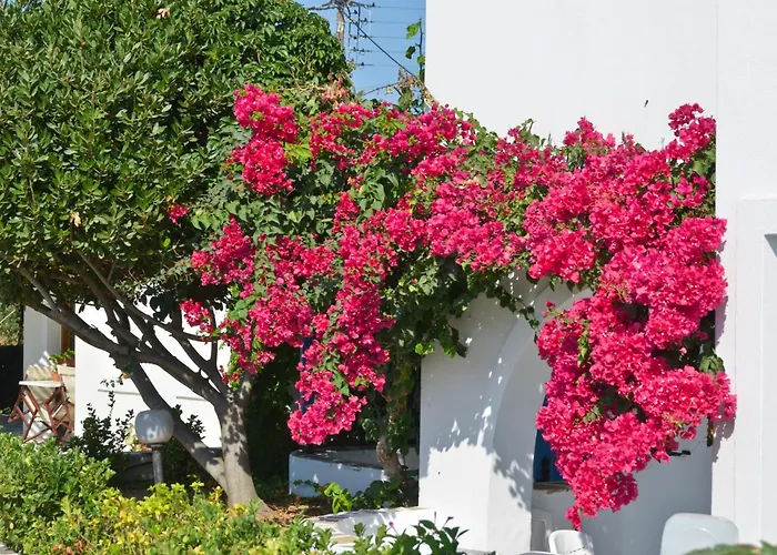 Dilino 아기오스프로코피오스