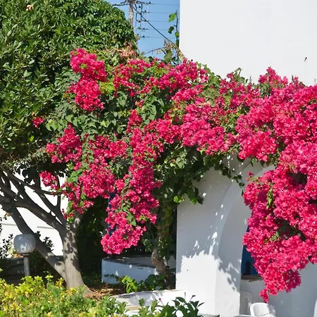 Dilino Agios Prokopios (Naxos)